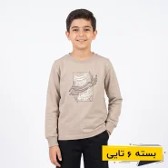 خرید عمده بلوز پسرانه طرح شیردلیر بزرگ | بچگانه (6 تایی)