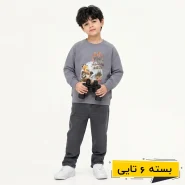 خرید عمده بلوز پسرانه طرح هدهد ماجراجو | بچگانه (6 تایی)